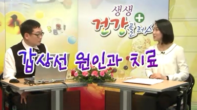 KCTV �����ǰ� �÷��� - ����(�ܰ� �����¿���)