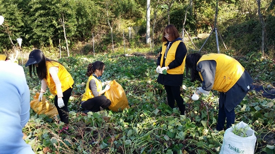 2014�� 10�� 25�� �����̺���