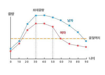 À̽ʴë Áß¹Ý ¶Ç´Â »ï½Ê´ë ÃʹÝÀÇ Ã»Àå³â ½Ã±â¿¡ ÀÏ»ý Áß ÃÖ´ë°ñ·®ÀÌ Çü¼ºµÇ°í ±× ÀÌÈÄ´Â ¿¬·É¿¡ µû¶ó Á¡Â÷ÀûÀ¸·Î °ñ¼Ò½ÇÀÌ ÁøÇàµÈ´Ù.