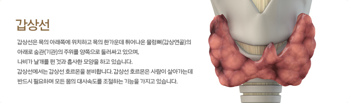 ���󼱾��� ����